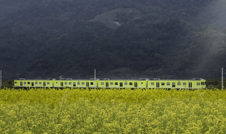 路线、行驶时间、订票方式、车厢特色一次看！｜【旅游攻略】pg电子入口台铁、阿里山林铁观光列车总整理 8大列车行驶(图3)
