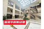 住宅还是公寓深湾华府怎么样好不好啥价值p